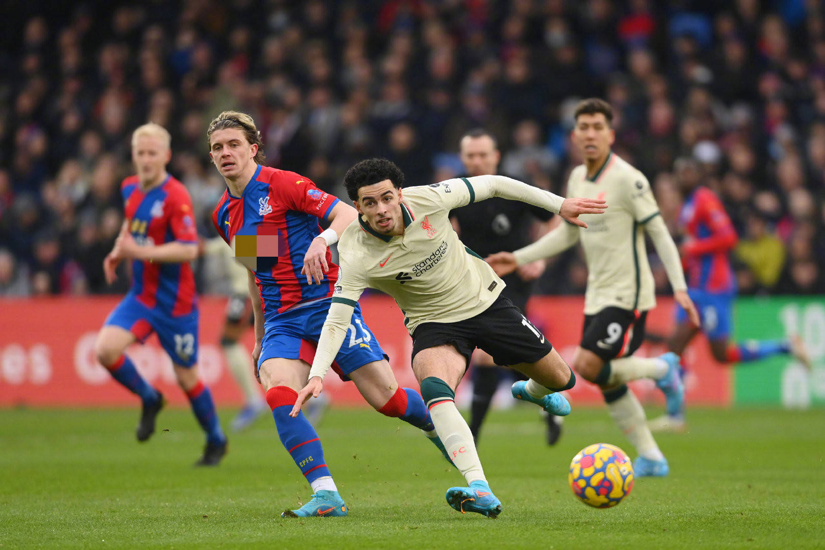 帕尔默的突 帕尔默的突