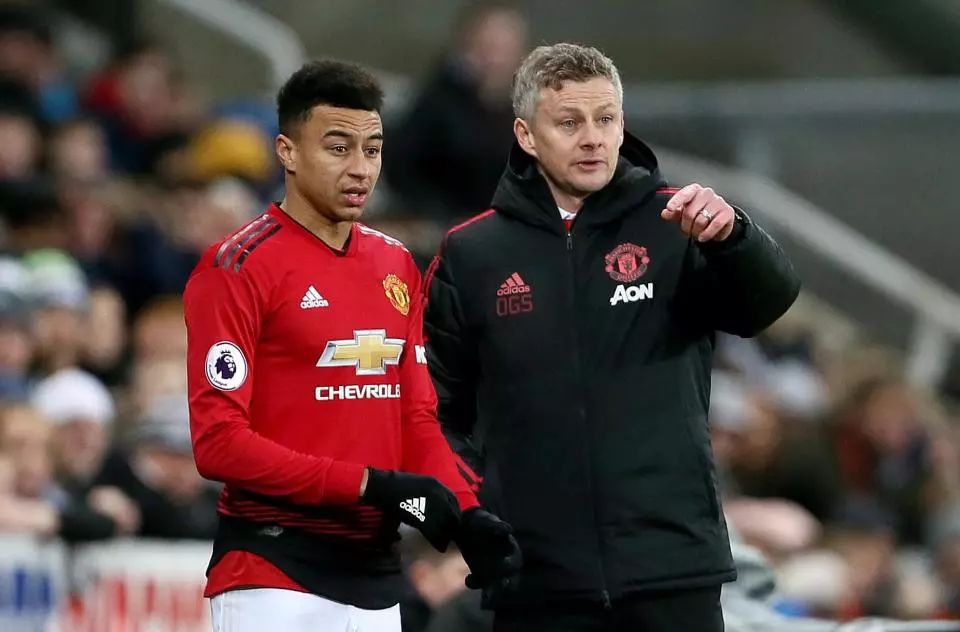 也增加了英 也增加了英